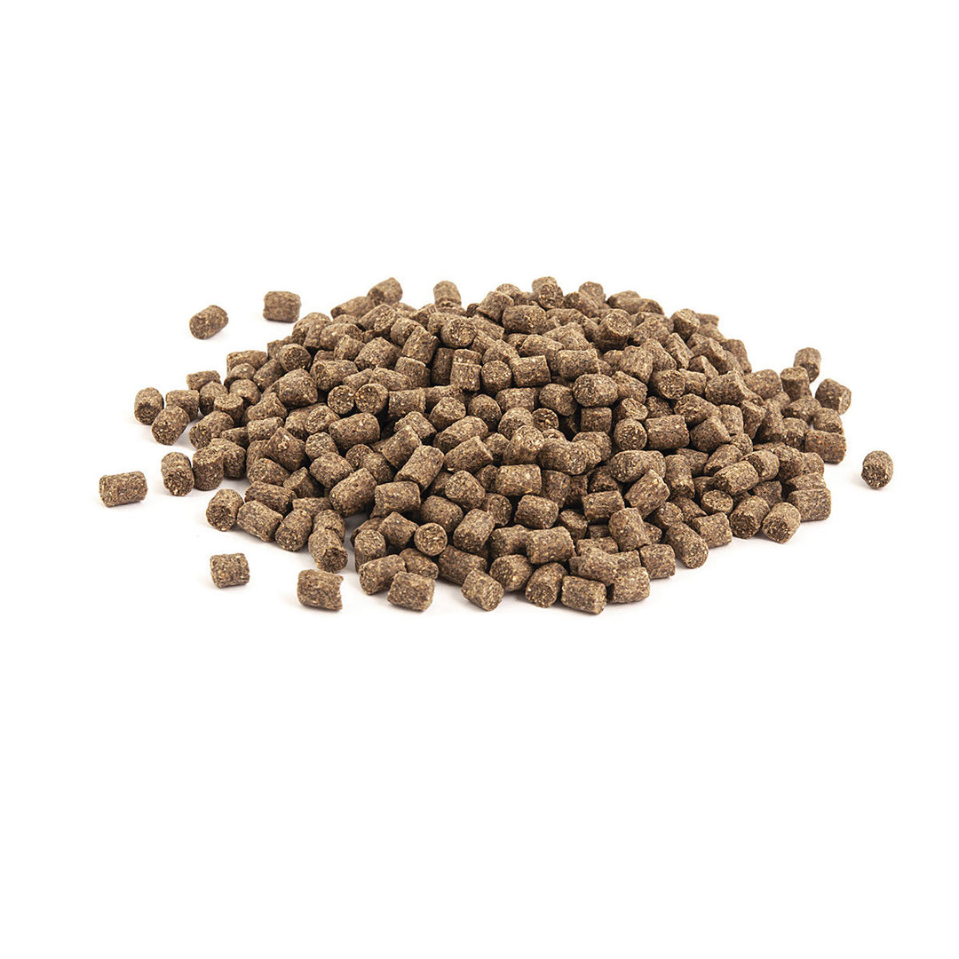 Pellet Gnt Match Feeder Expert - Carp & F1