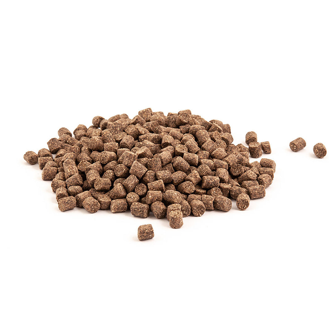 Pellet Gnt Match Feeder Expert - Carp & F1