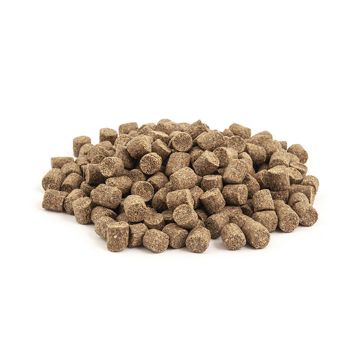 Pellet Gnt Match Feeder Expert - Carp & F1