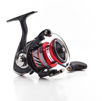 Ninja Lt Daiwa 19