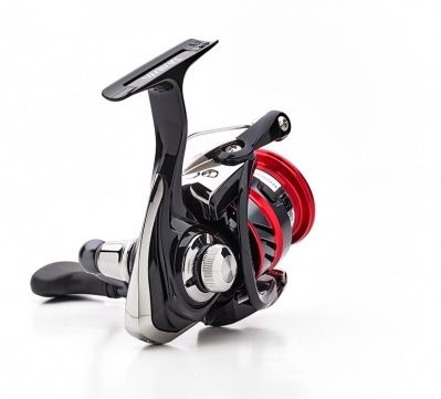 Ninja Lt Daiwa 19